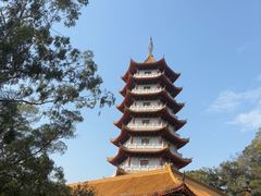 -白云山风景名胜区