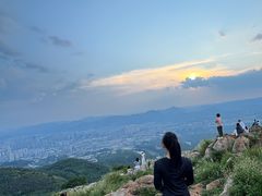 -长虫山生态公园风景林