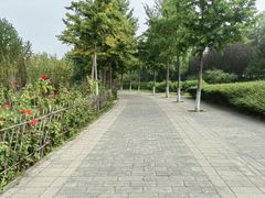-东升八家郊野公园