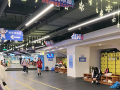 -世界之窗阿尔卑斯冰雪世界