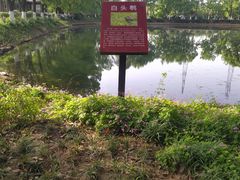-金银湖国家城市湿地公园