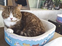 -小时光咖啡馆(北锣鼓巷店)