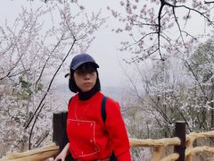 -阳台山自然风景区