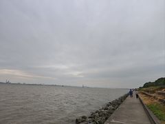 -海鸥岛