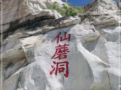-仙蘑洞