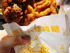 -潘老大炸鸡腿(九狮桥街店)