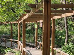 -大岭沟猕猴桃谷风景区
