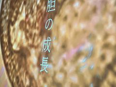 -地球美食剧场