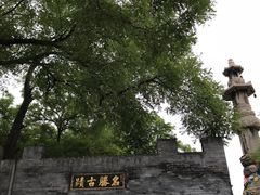 -大槐树寻根祭祖园