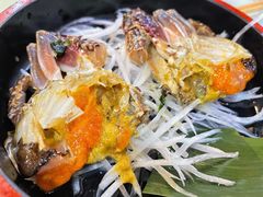 -渔娘渔家丹东海鲜(东直门店)