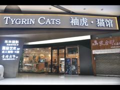 -袖虎·猫馆(体育西路店)