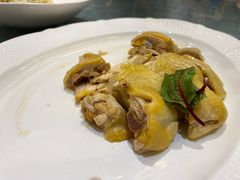 -望乡楼上海菜(日月光店)