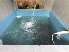 -正能量脆肉鲩火锅