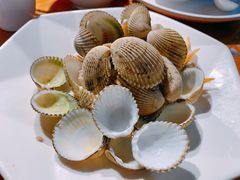 -蓝湾碧波·老字号·疍家非遗海上餐厅