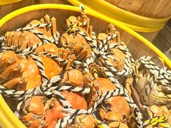 -索菲特西湖大酒店·香榭丽全日候餐厅(南山路店)