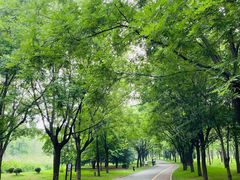 -青州市云门山风景区