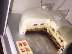 -BLACKSWAN黑天鹅(环球店)