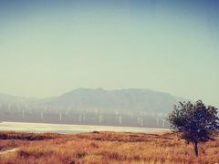 -盐湖景区