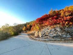 -北京西山国家森林公园