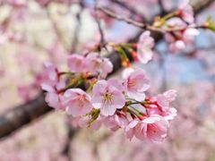 -白塘生态植物园