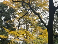 -金堂县云顶石城风景区