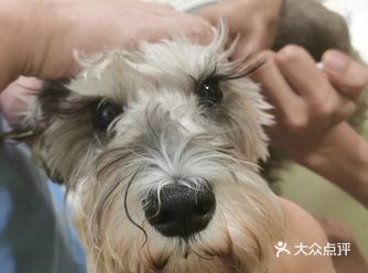 眼睛很大,特别是长长的睫毛。推荐这家医院哈