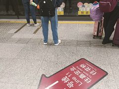 -东方体育中心(地铁站)