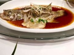 清蒸清斑鱼-百姓渔村(平阳路店)