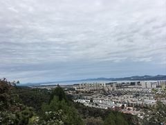 -府君山公园