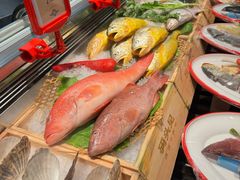 -码头见·潮汕菜(领展中心城店)