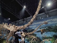 -自贡恐龙博物馆