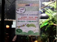 -上海大自然野生昆虫馆(东方明珠·爬宠昆虫探索中心)
