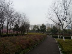 -白塘生态植物园