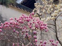 -耦园