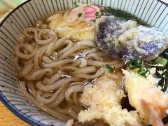 天妇罗乌冬面-Hatsuhana Japanese Restaurant