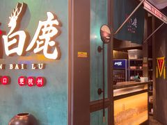 -新白鹿餐厅(金鹰新街口店)