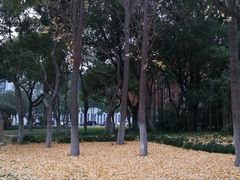 -中共上海市委党校 上海行政学院