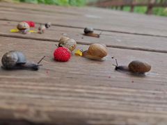 -淇河国家湿地公园