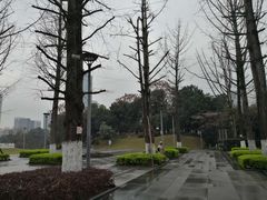 -百林公园-两江幸福广场