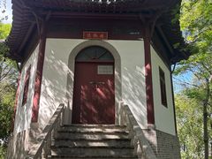 -上海佘山国家森林公园天马山园