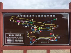 -五营红松林海景区