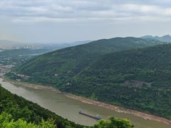 -铁山坪森林公园