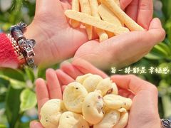 -喜点狮(江门大融城店)