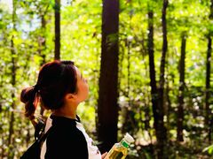 -天目山大树王景区