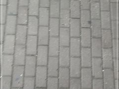 -豫掌柜饸饹面·烩面(秀沿路店)