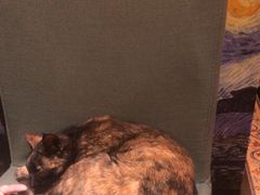 -EATALIA意塔利意式餐厅(鼓楼店)