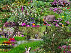 -上海共青森林公园