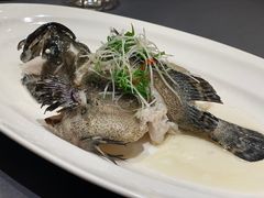 古法游龙蒸老虎斑-金色艳阳天•粤菜 淮扬菜(古平岗店)