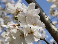 -苏州上方山国家森林公园