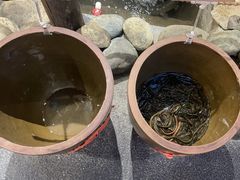 -六合居(温江店)